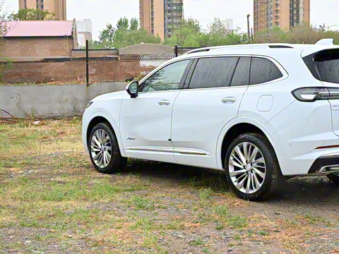 2025�� ������Plus ����Avenir��ά��