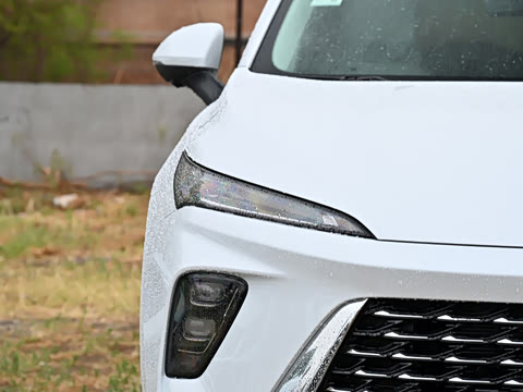 2025�� ������Plus ����Avenir��ά��