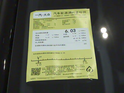 2025�� �Ŀ�� 300TSI DSG�����ǹ��