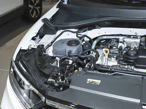 2025�� �Ŀ�� 300TSI DSG�����ǹ��