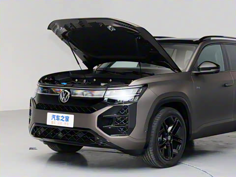 2025�� ;�� Pro 450TSI �����Ƿ��