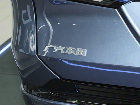 2025�� ����������Pro