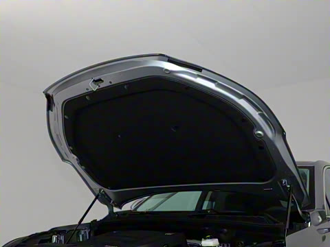 2025�� 25T �����׽��