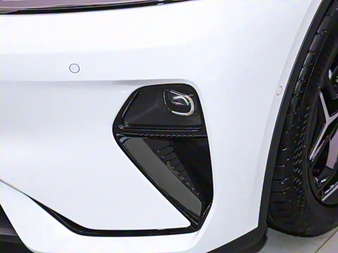 2025�� 300Max  �����Ǽ�AD PRO���̰�