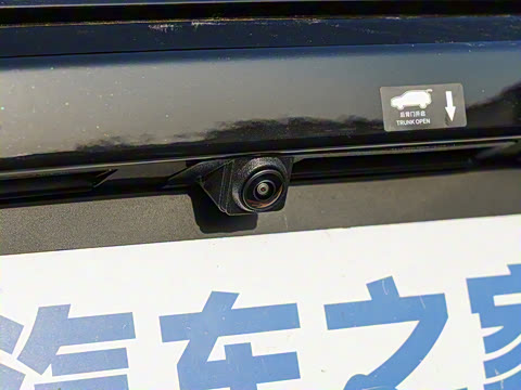 2025�� �Ǽݰ� DM-i 115KM �콢��