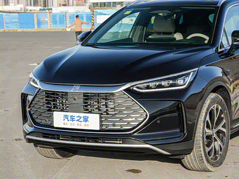 2025�� �Ǽݰ� DM-i 115KM �콢��