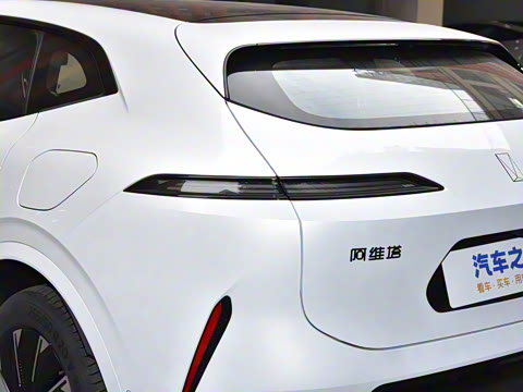 2024�� Max�����