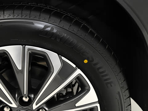 2025�� 25T �����׽��