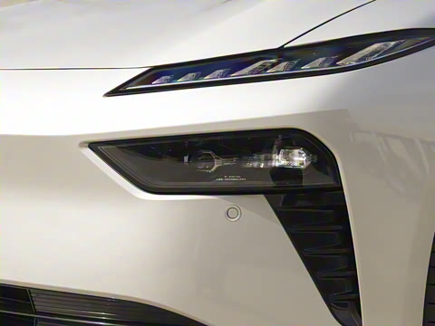 2025�� ���� 565����Max�캽��