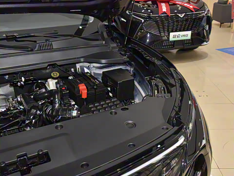 2025�� 1.5T ɽ��� 5��