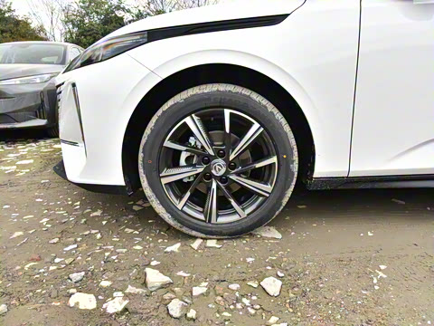 2025�� ���� 1.5T 500Bar�����