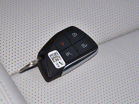 2025�� ������Plus ����Avenir��ά��