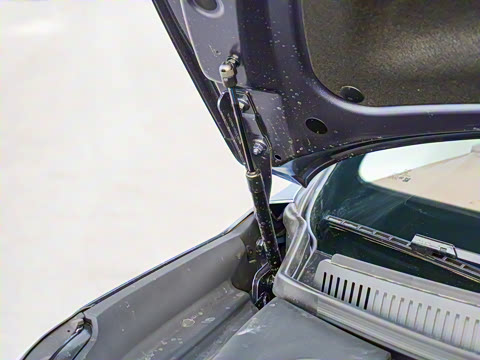 2025�� DM-i 1.5T 100km ��Խ��