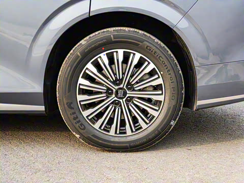 2025�� DM-i 1.5T 100km ��Խ��