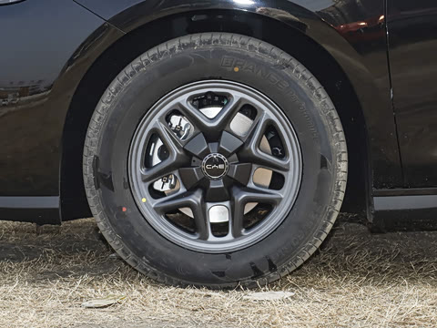 2025�� DM-i �Ǽݰ� 55KM������