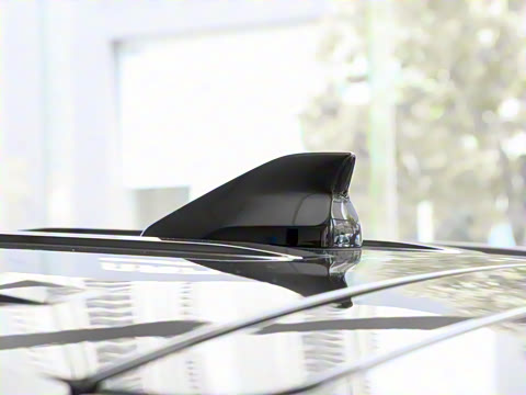 2025�� 300T ������Խ��