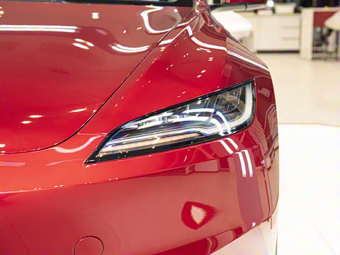 2025�� ����������