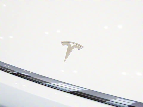 2025�� ����������