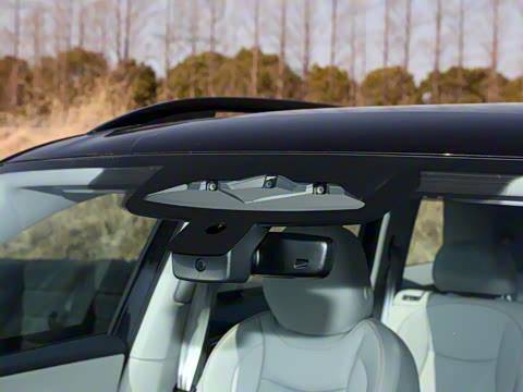 2025�� ;�� Pro 450TSI �����ݺ��