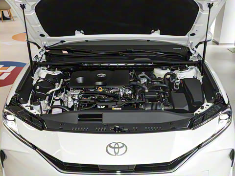 2024�� ˫�� 2.0HGVP ������