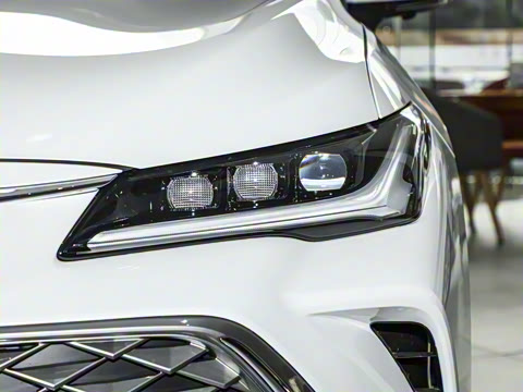 2024�� ˫�� 2.5L XLE����