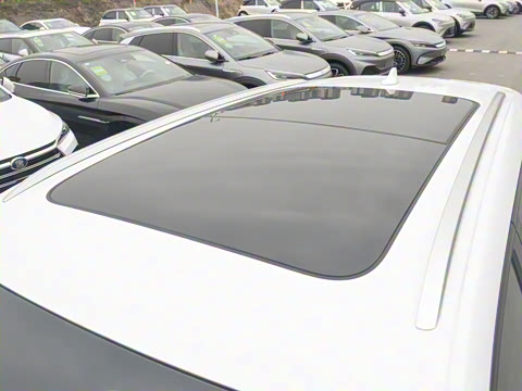 2024�� ��ҫ�� DM-i 110KM׿Խ��