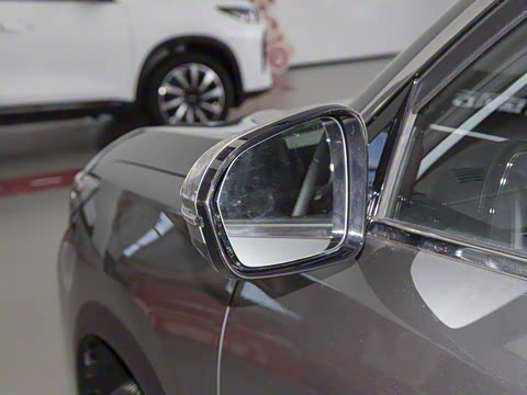 2025�� 1.5T 130km ������ 5��