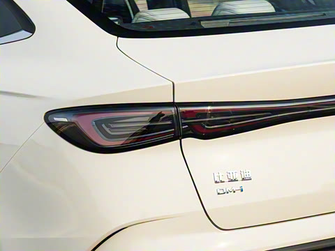 2025�� DM-i �Ǽݰ� 80KM������