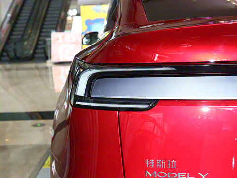 2025�� ����������