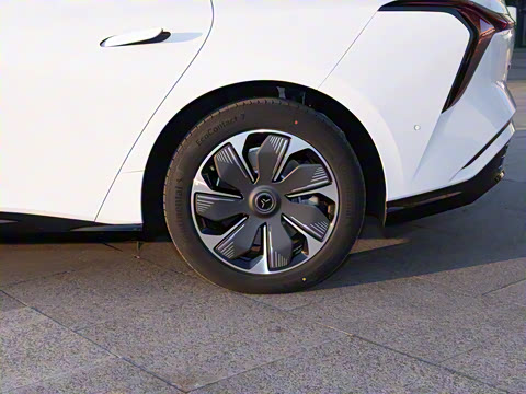 2025�� 750��ѡ��