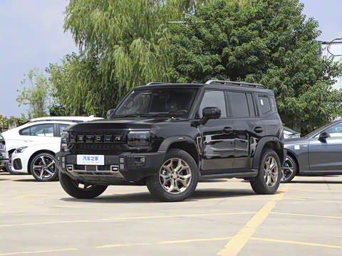 2025�� 2.0TD XWD �Զ�����+