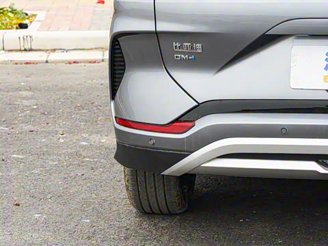 2025�� DM-i �Ǽݰ� 112KM �����