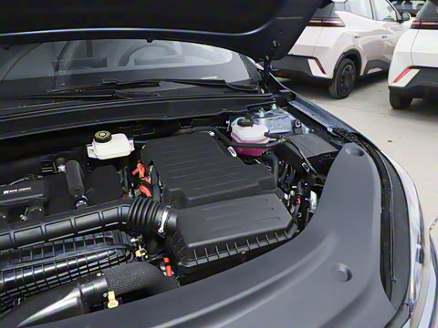 2025�� DM-i �Ǽݰ� 55KM������