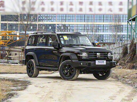 2025�� 2.0T ��ս��