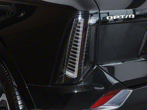 2024�� ������������