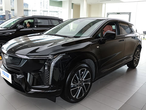 2024�� ������������