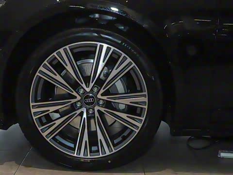 2025�� �Ŀ� 45 TFSI ��ѡ������