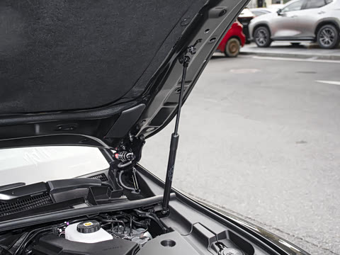 2024�� 500h ������