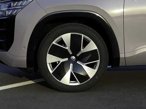 2025�� ;�� Pro 450TSI �����Ƿ��