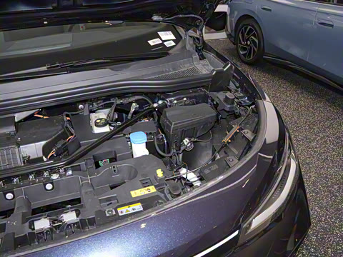 2025�� ������