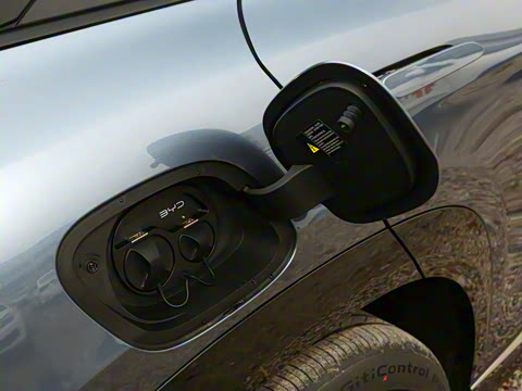 2025�� 550�Ǻ���