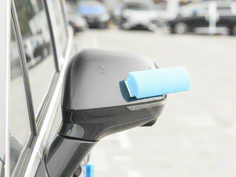 2025�� EV ��������