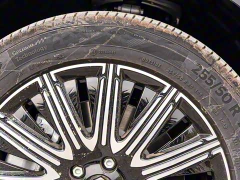 2025�� EV �������������