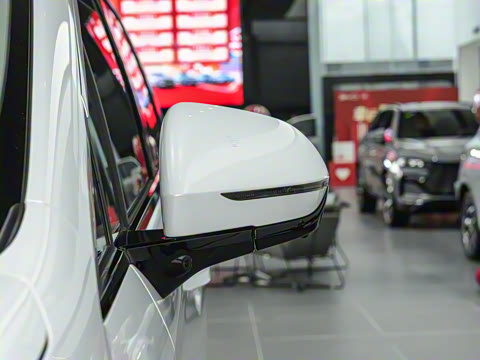 2025�� DM-i 1.5T 100km ��Խ��