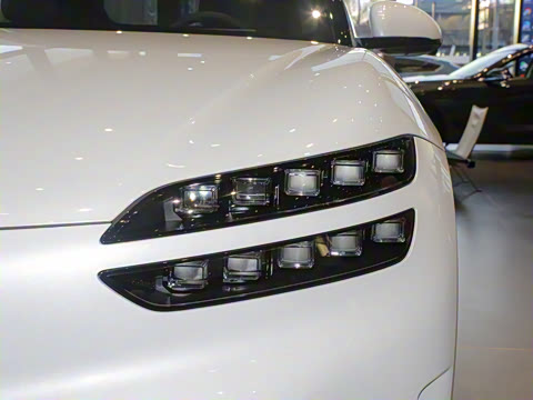 2024�� ���������������