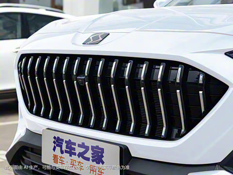 2021�� 300T DCT���������� 6��