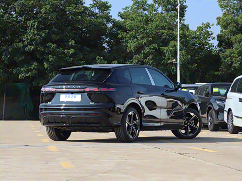 2024�� ������������