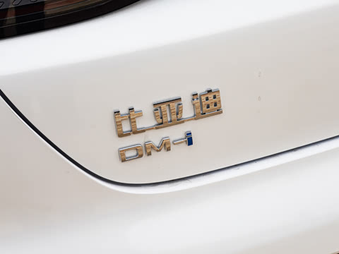 2025�� DM-i �Ǽݰ� 55KM�����