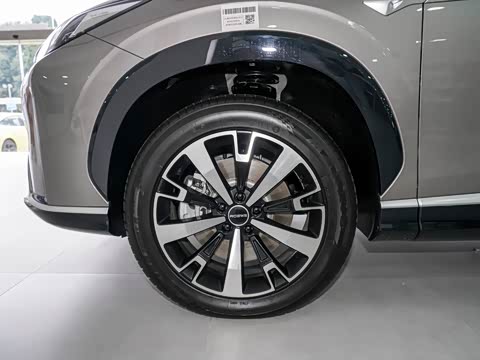 2024�� 135�콢��