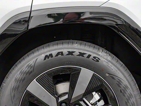 2025�� �����߰�